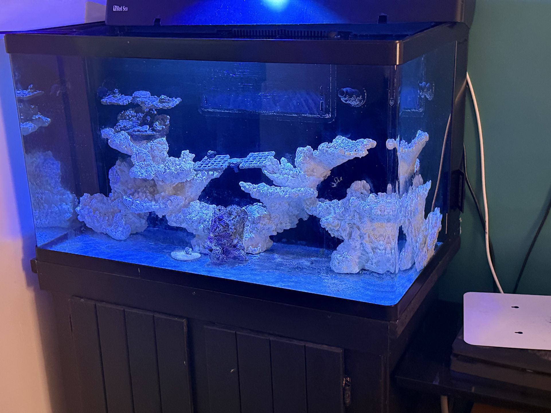 Fish Tank