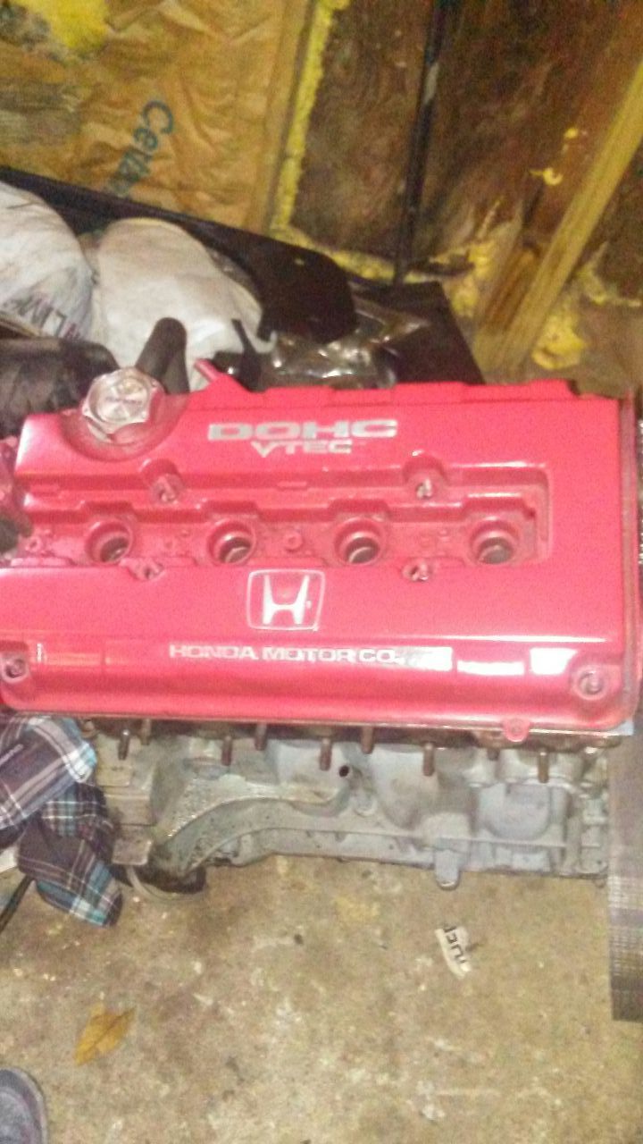 B16 head pr3-3