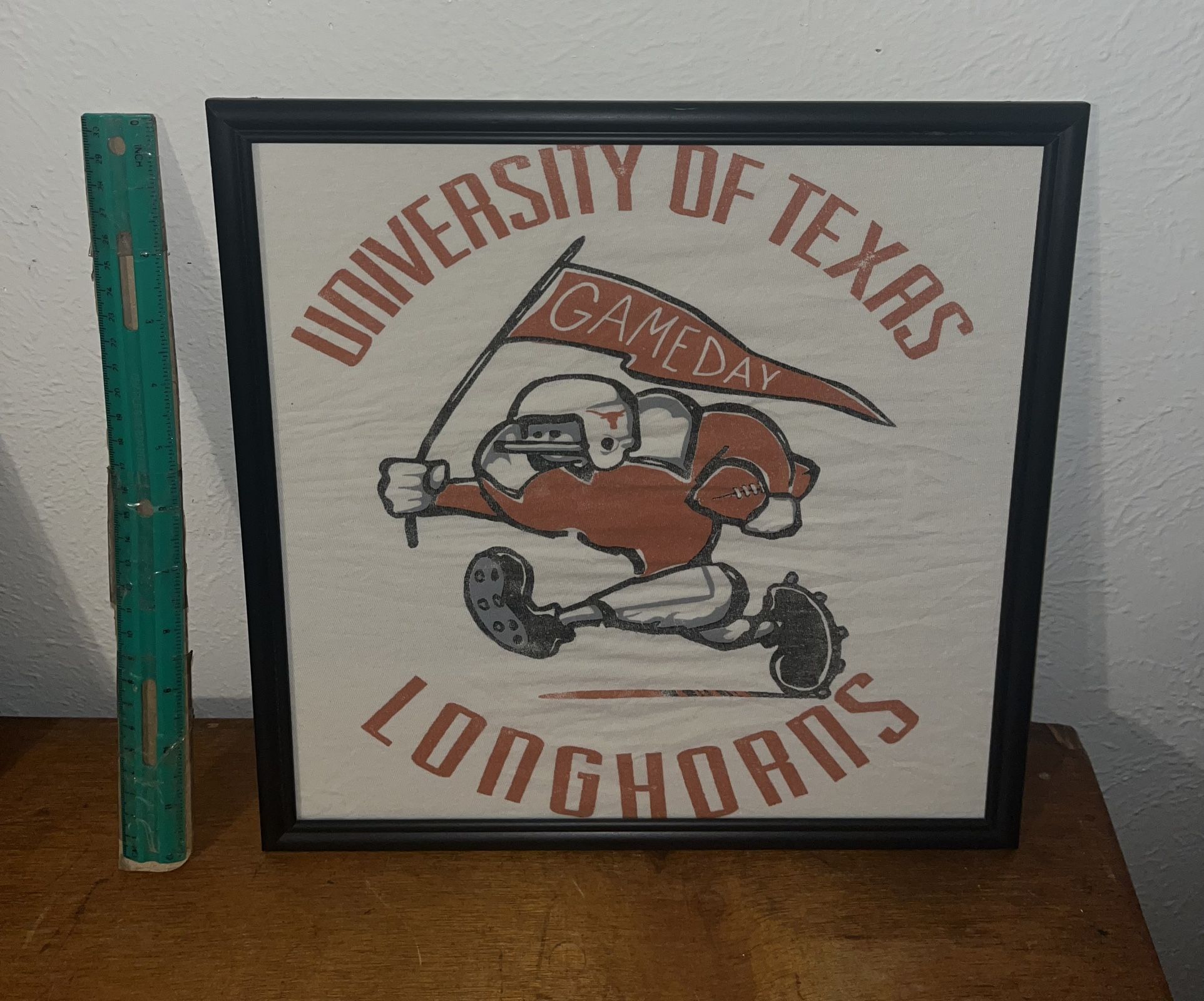 Texas Longhorns Frame 