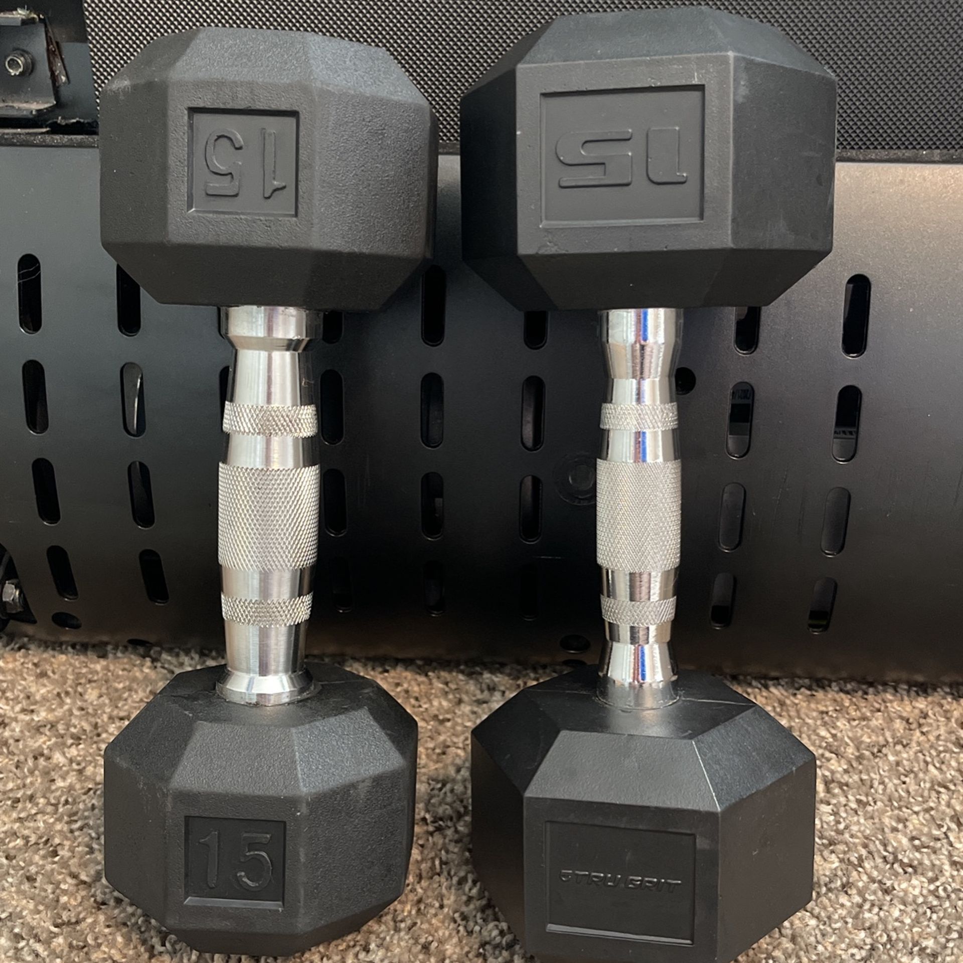 15lb Dumbbells