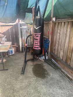 Everlast bag with stand
