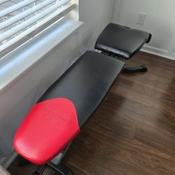 BowFlex Weight Bench