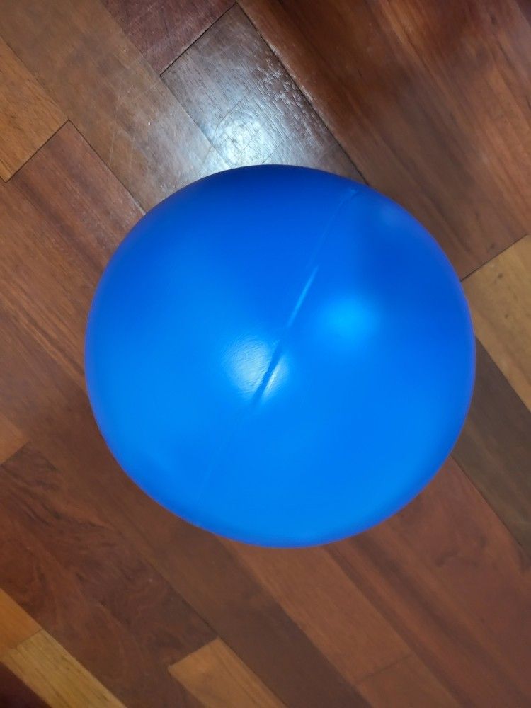 Virtually Indestructible Herding Ball for Dogs, 10-inch