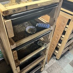 Rat Breeding Habitats