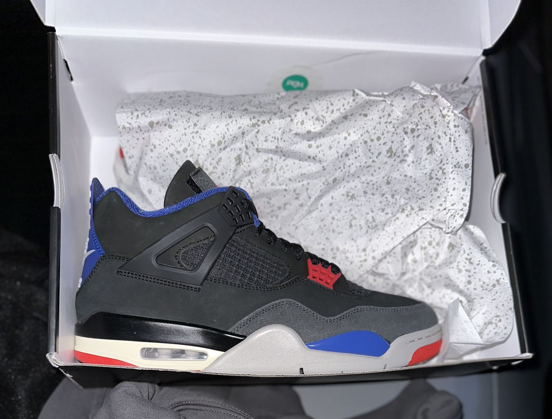 Retro Jordan 4 “Rare Air”