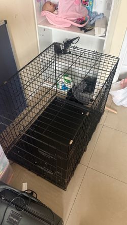 Dog Cage