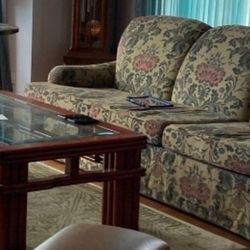 Free Couch And Coffee Table