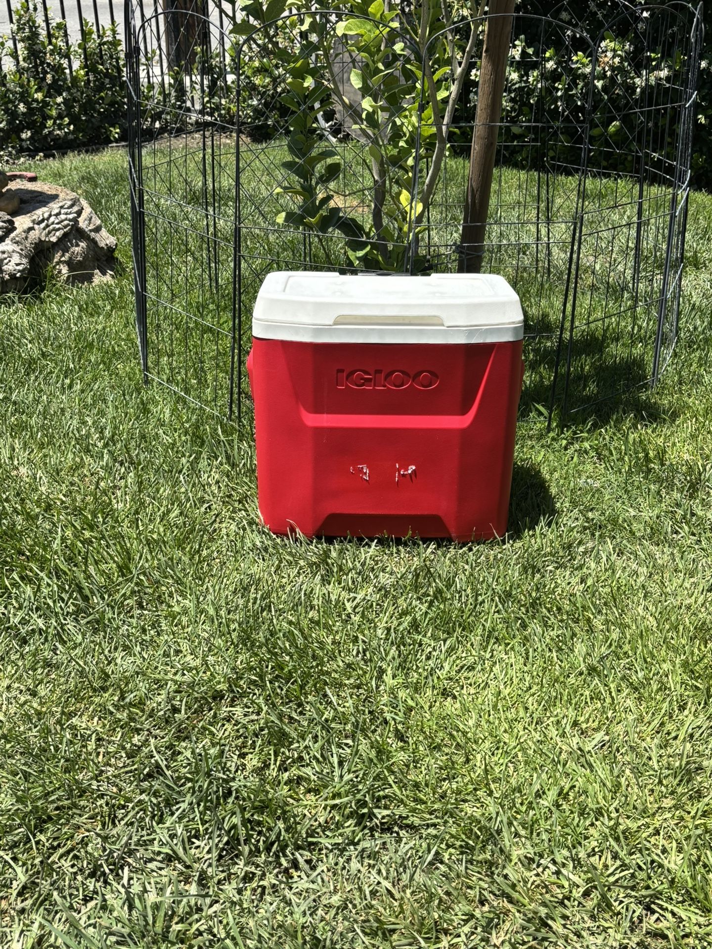 IGLOO,ICE CHEST COOLER