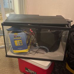 10 Gallon Fish Tank Starter Kit