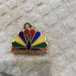 Charm.     I’m Proud It’s Allowed Charm