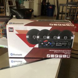 Bluetooth Radio And Speakers 