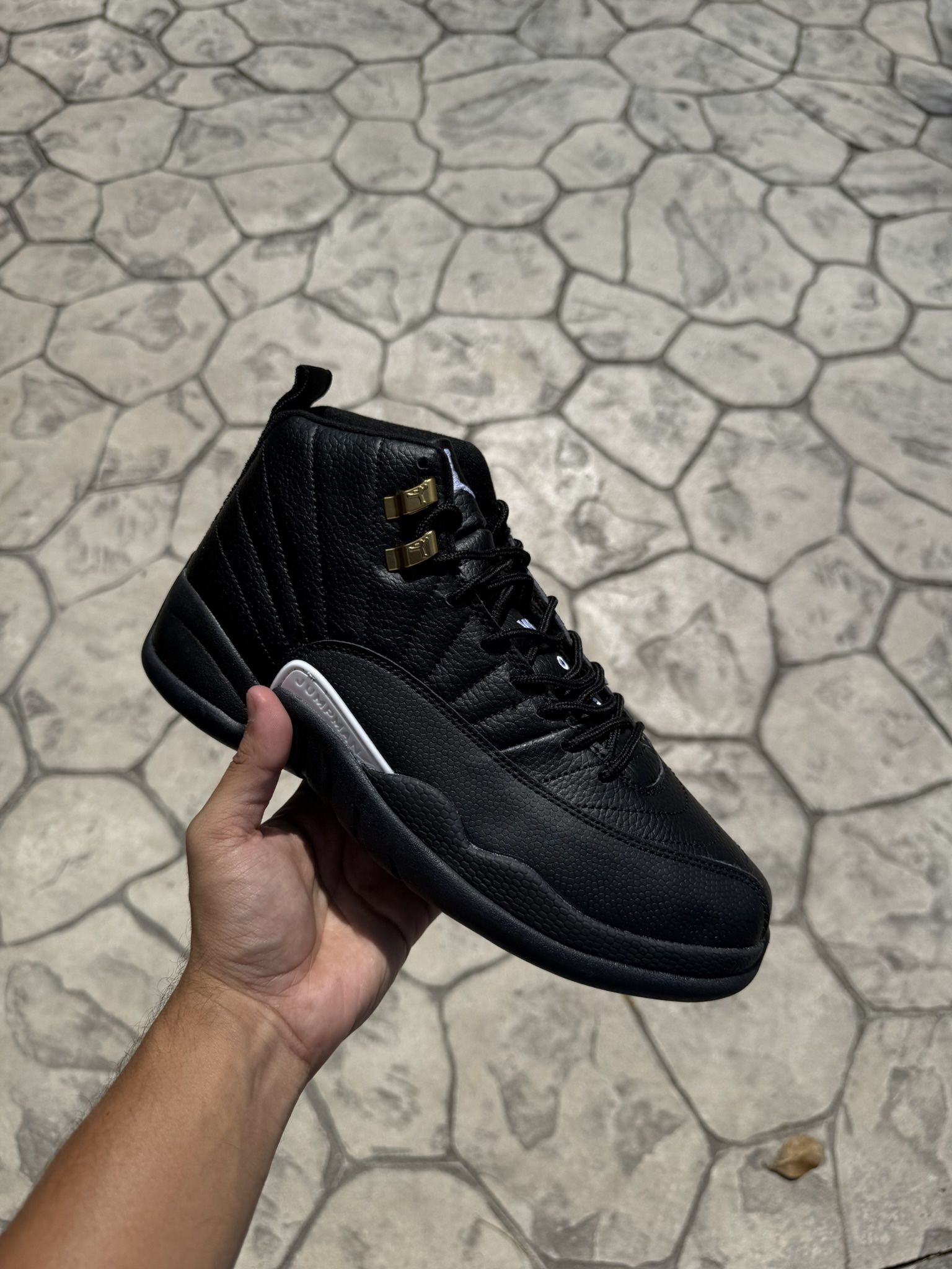 Air Jordan Retro 12’s " Black Master "