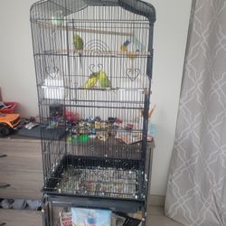 Brand New Bird Cage 