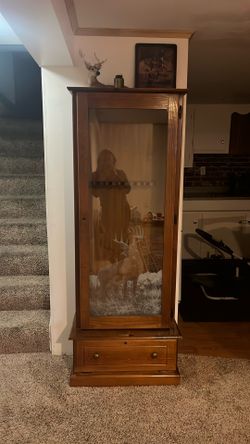 Gun Case