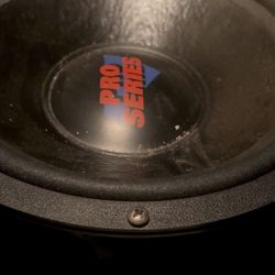 2 Pro SERIES speaker $100 For 2(video Of Working It Requested)