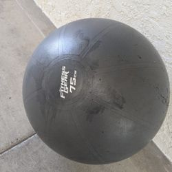 Exercise Ball