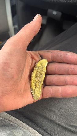 10k 32. 84 grams melted gold