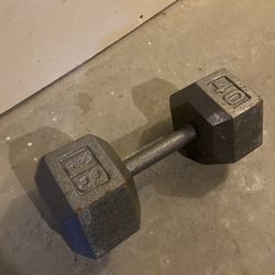 40 lb. Dumbbell Weight 