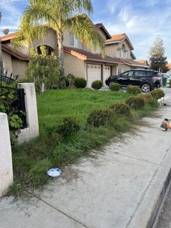 Yard Clean Up