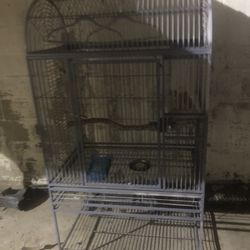 Bird Cage 