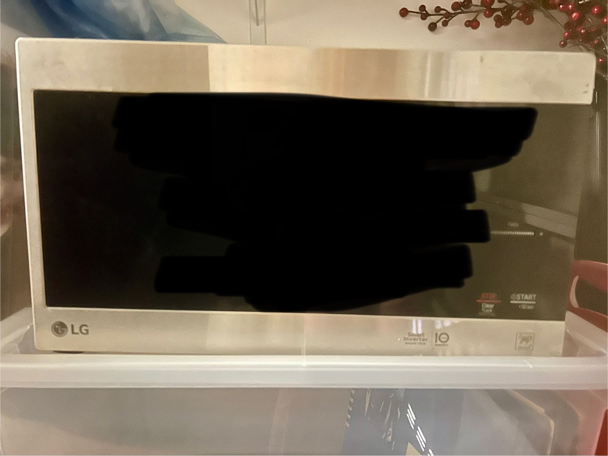 LG Microwave