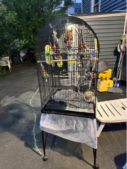 Cage $125