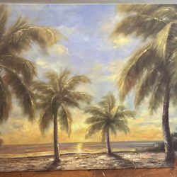 Ocean Palm Tree Picture