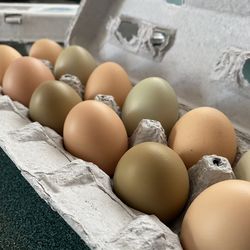 Huevos De Rancho / Farm Eggs