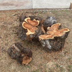 Jupiter Pine Firewood Logs