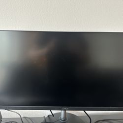 Acer Nitro 24.5" Full HD 1920 x 1080, 250Hz PC Gaming Monitor