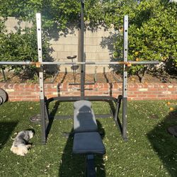Olympic Weight Rack, Barbell, Weight Plates 