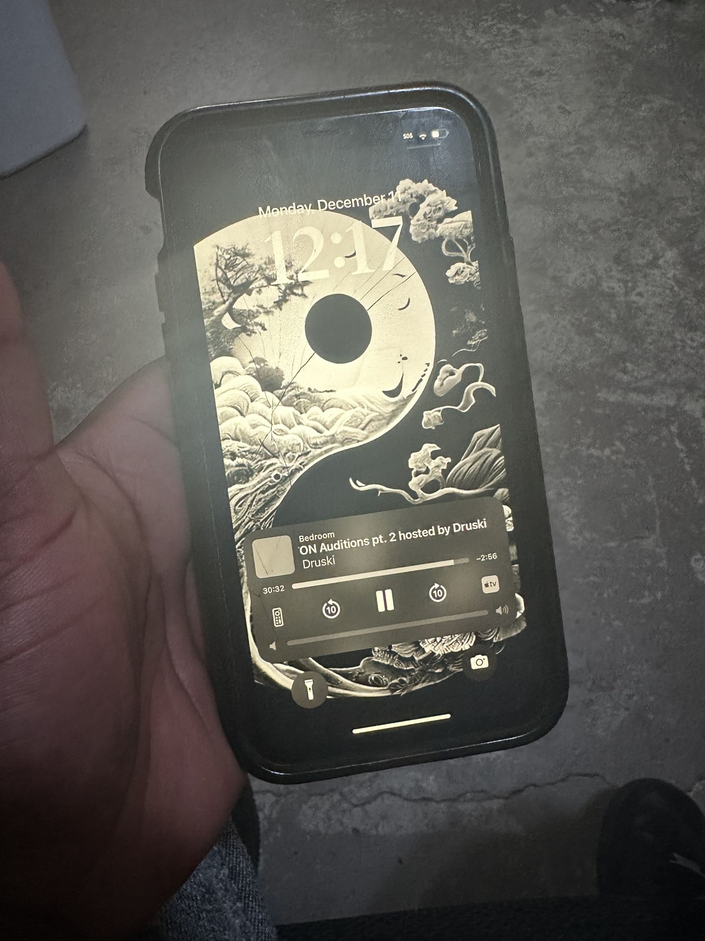 iPhone X