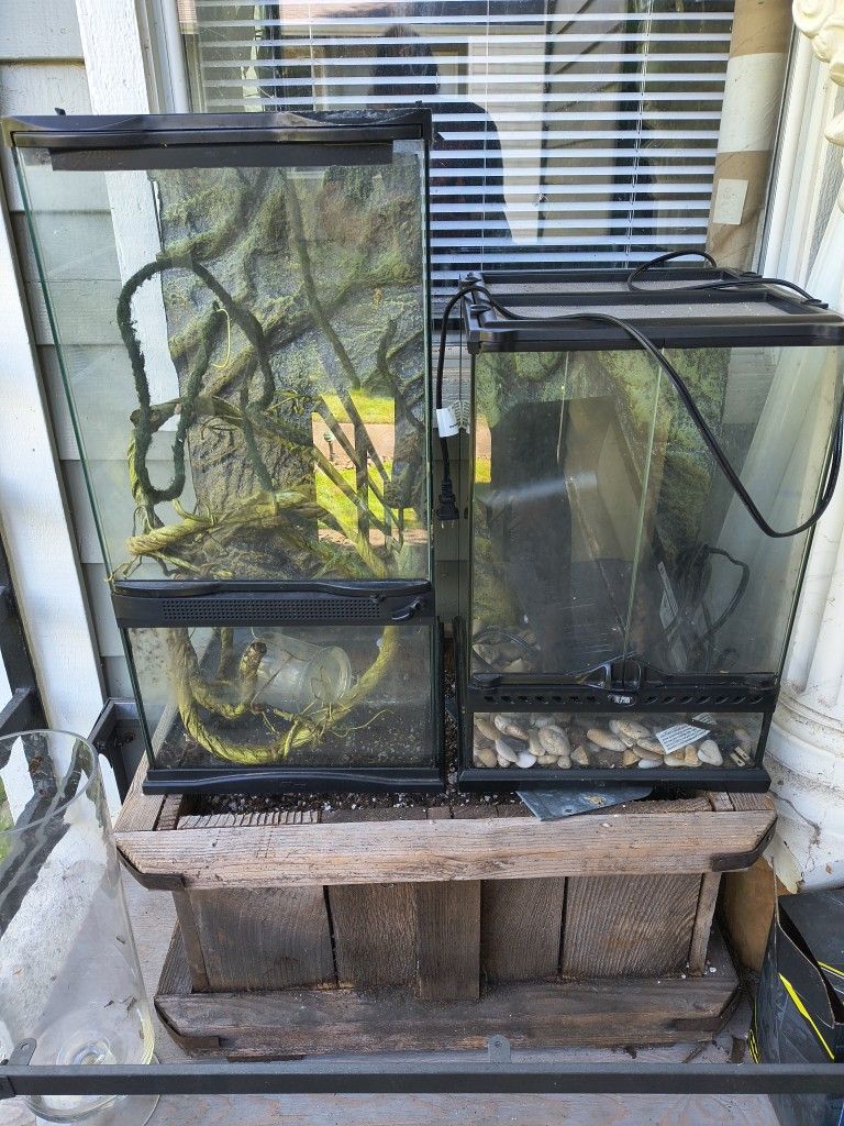 Terrariums