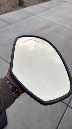 Gm mirror with turn signal