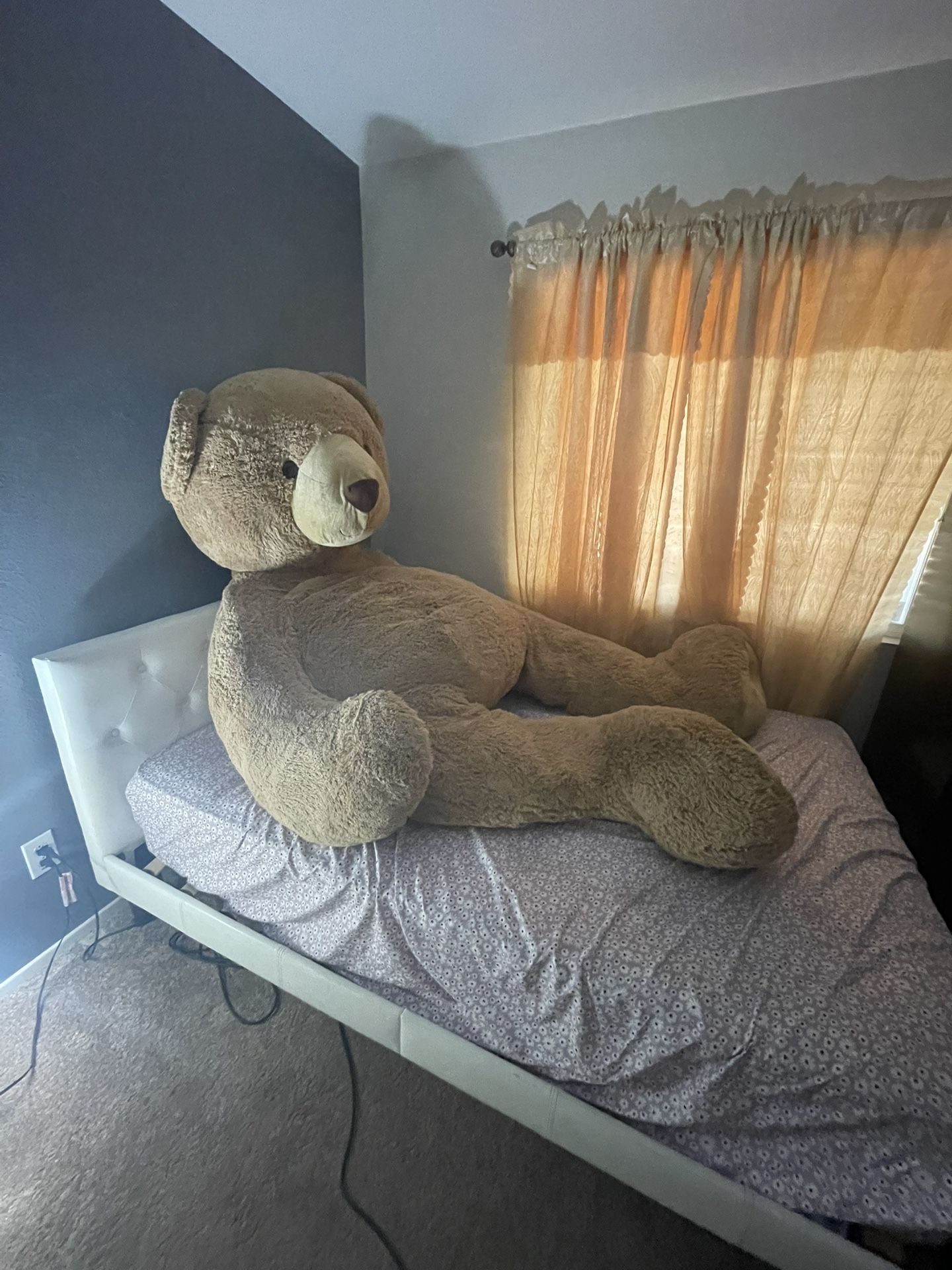 Giant Teddy Bear