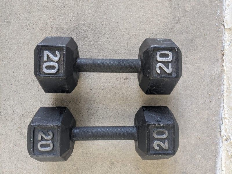 20 Pound Weights