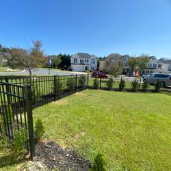 Fence 