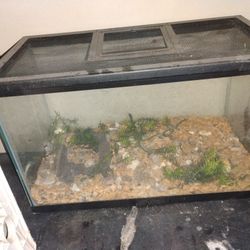Terrarium 