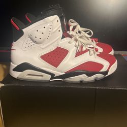Jordan 6 Size 8.5