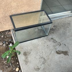 Pet Tank 