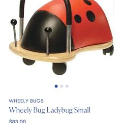 Kids Toy - Wheels Bug 