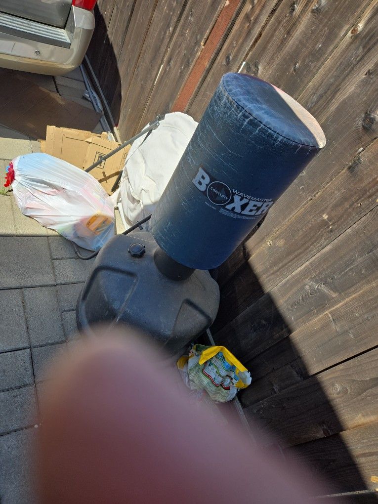 Wave Master Punching Bag