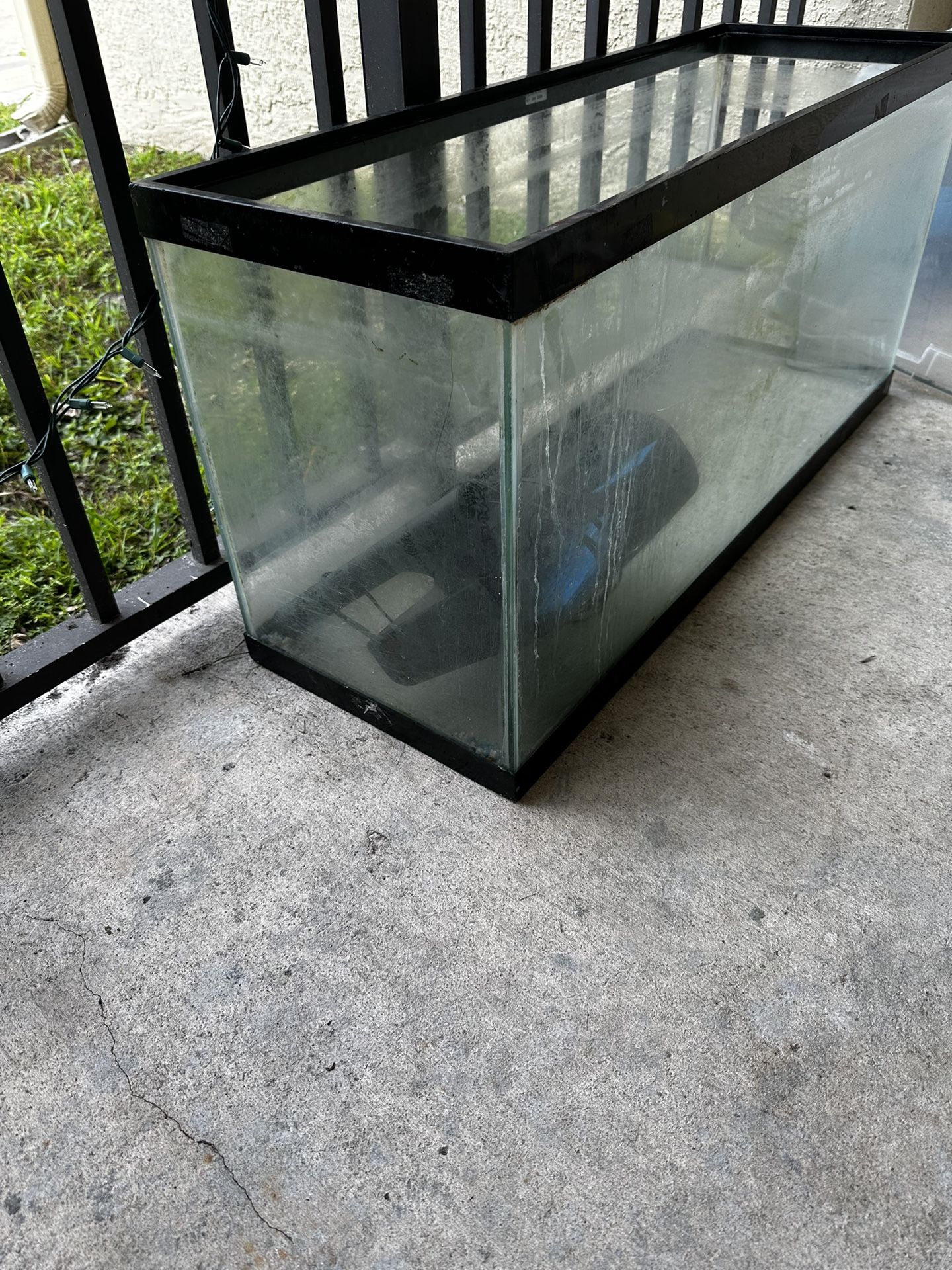 Fish Tank