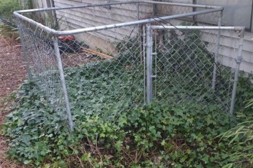 Dog Kennel