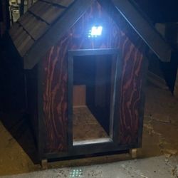 Dog House 