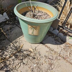 Flower Pots