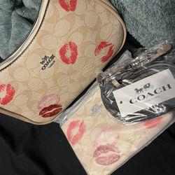 coach bag with wallet