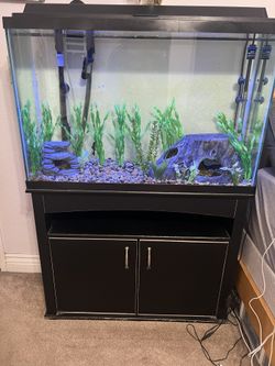 55 gallon fish tank and stand