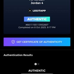 Jordan 4 Retro Toro Bravo 