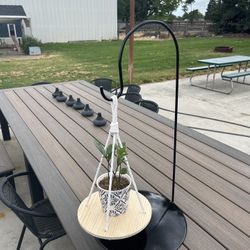 disk plate plant holder 